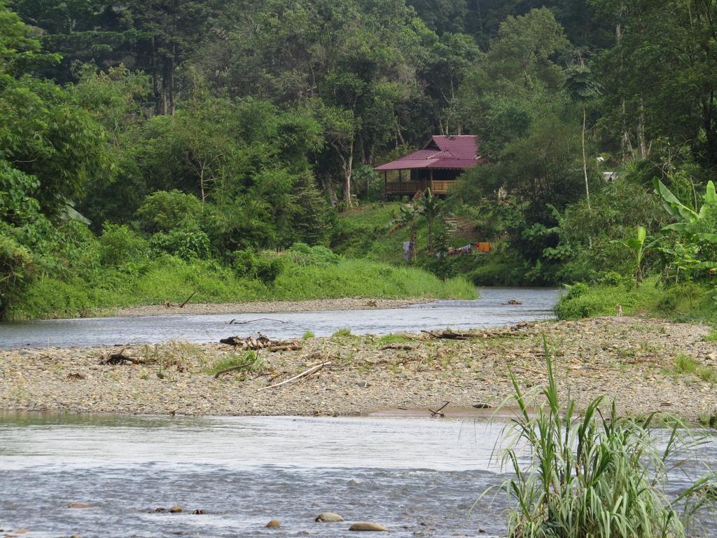 Batu Kapal Jungle Houses Hotel Berastagi Quarto foto